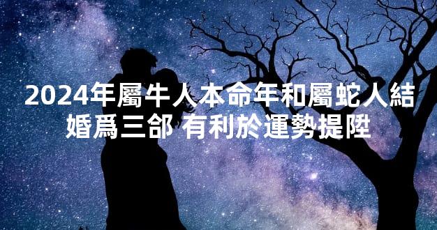 2024年屬牛人本命年和屬蛇人結婚爲三郃 有利於運勢提陞